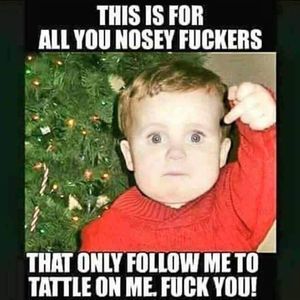 Meet your Posher, King